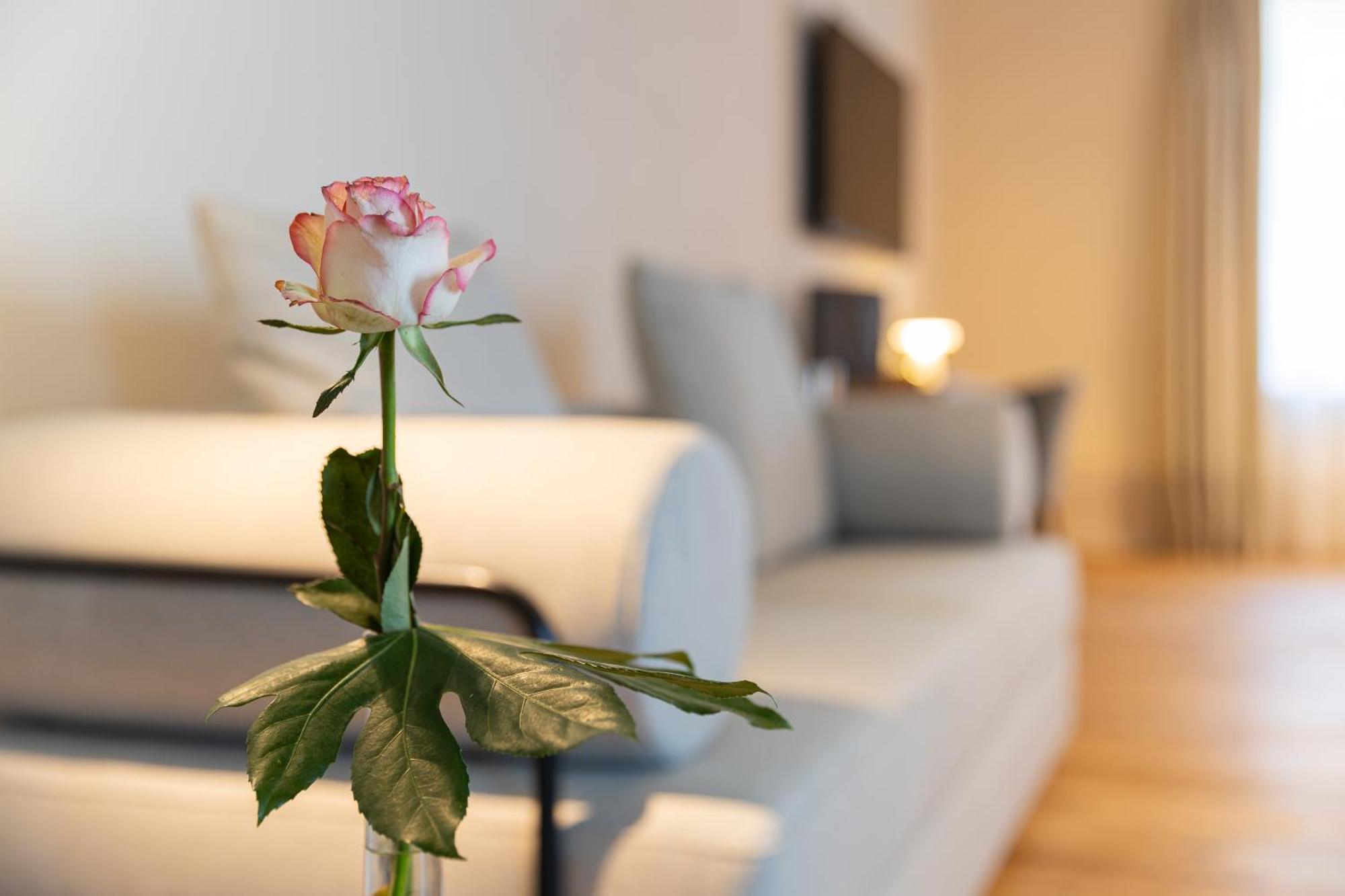 Boutique Hotel Gruener Zweig Schlettau Ngoại thất bức ảnh